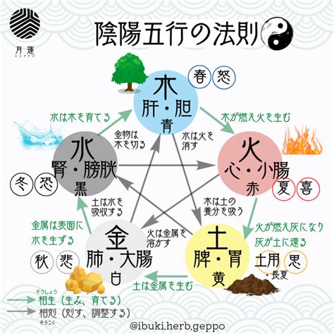 陰陽 五行|陰陽五行思想